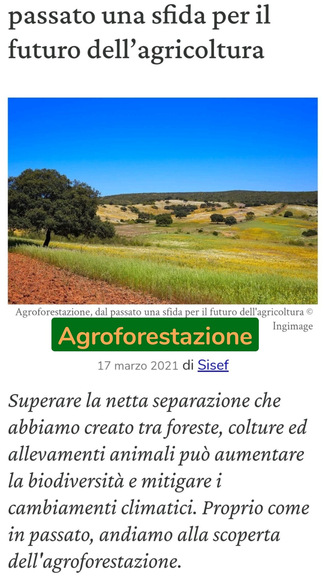 Agroforestazione