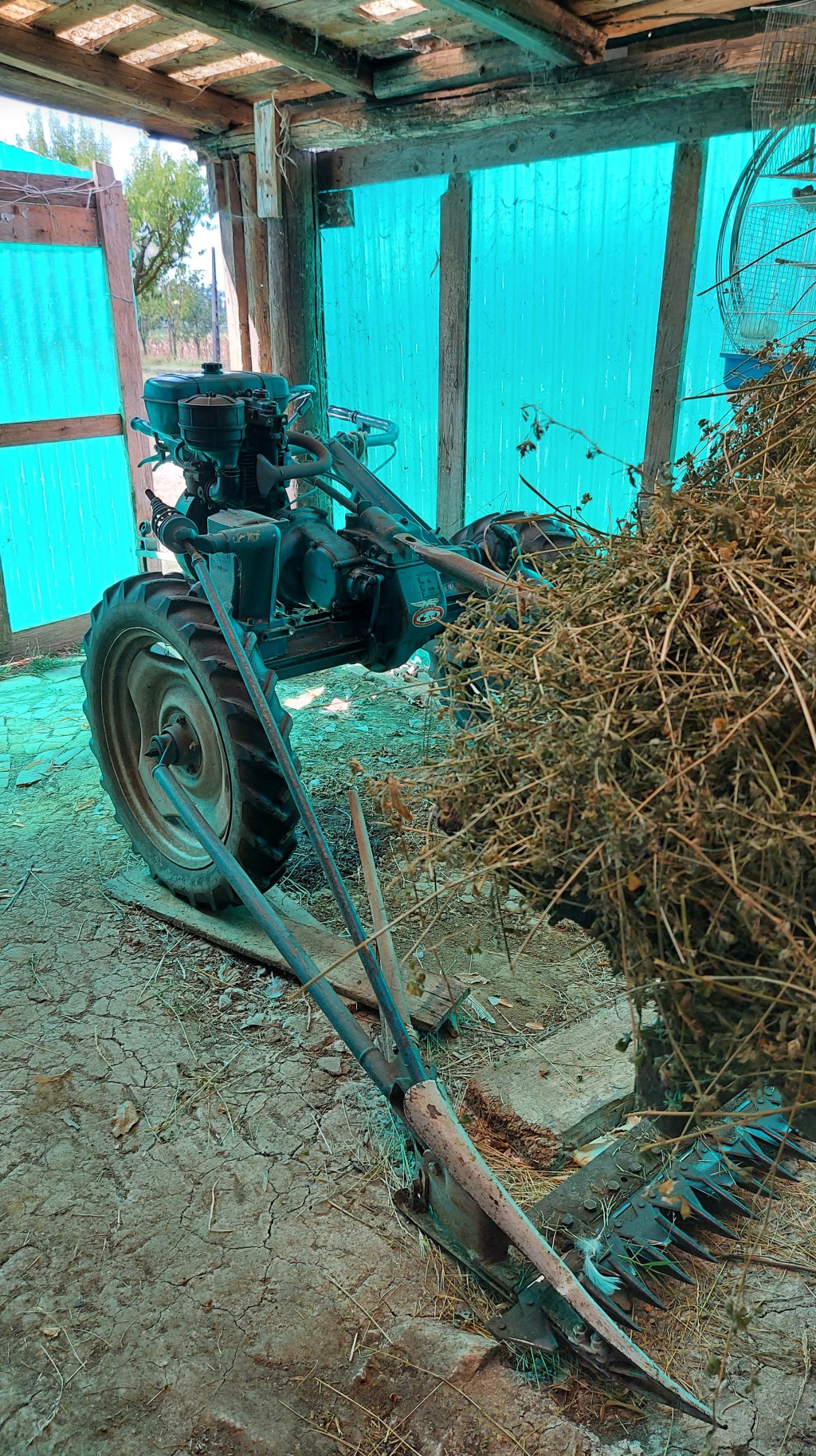 “Tosaerba” d’epoca