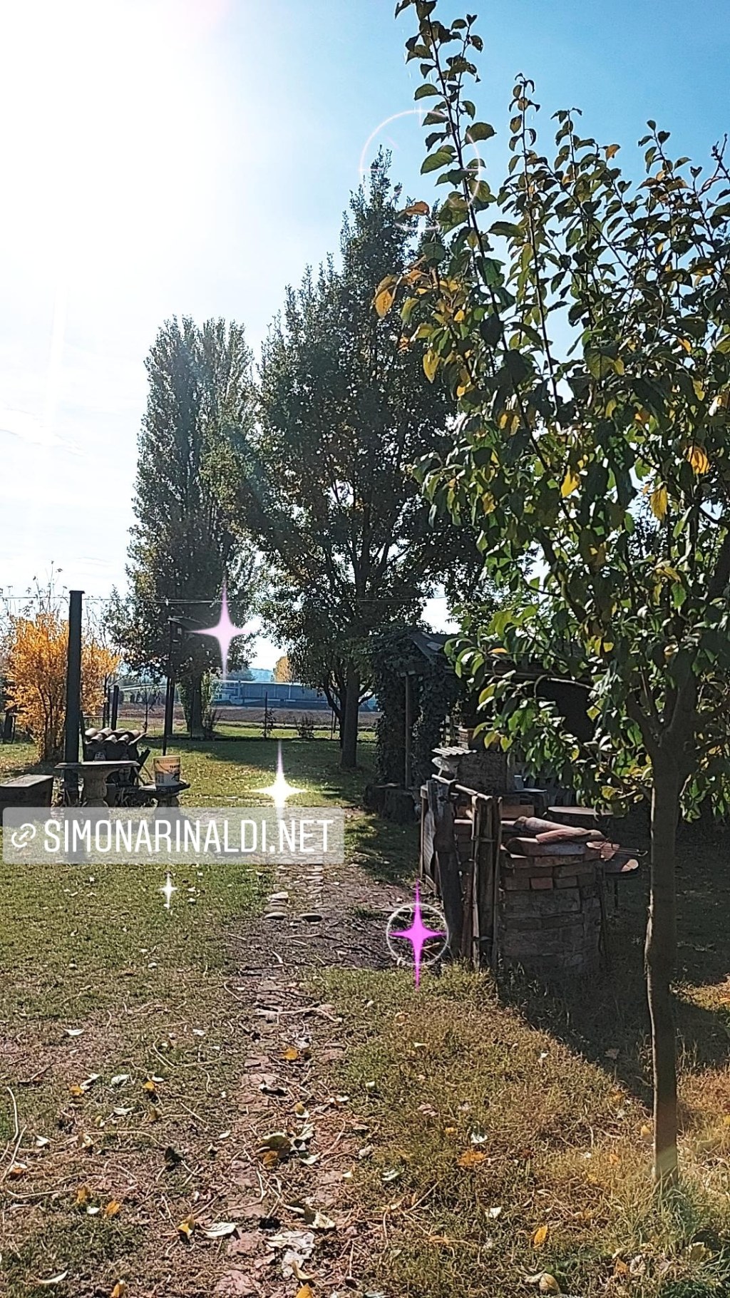 Foliage? Fogliame di casa, Autunno&nbsp;magico