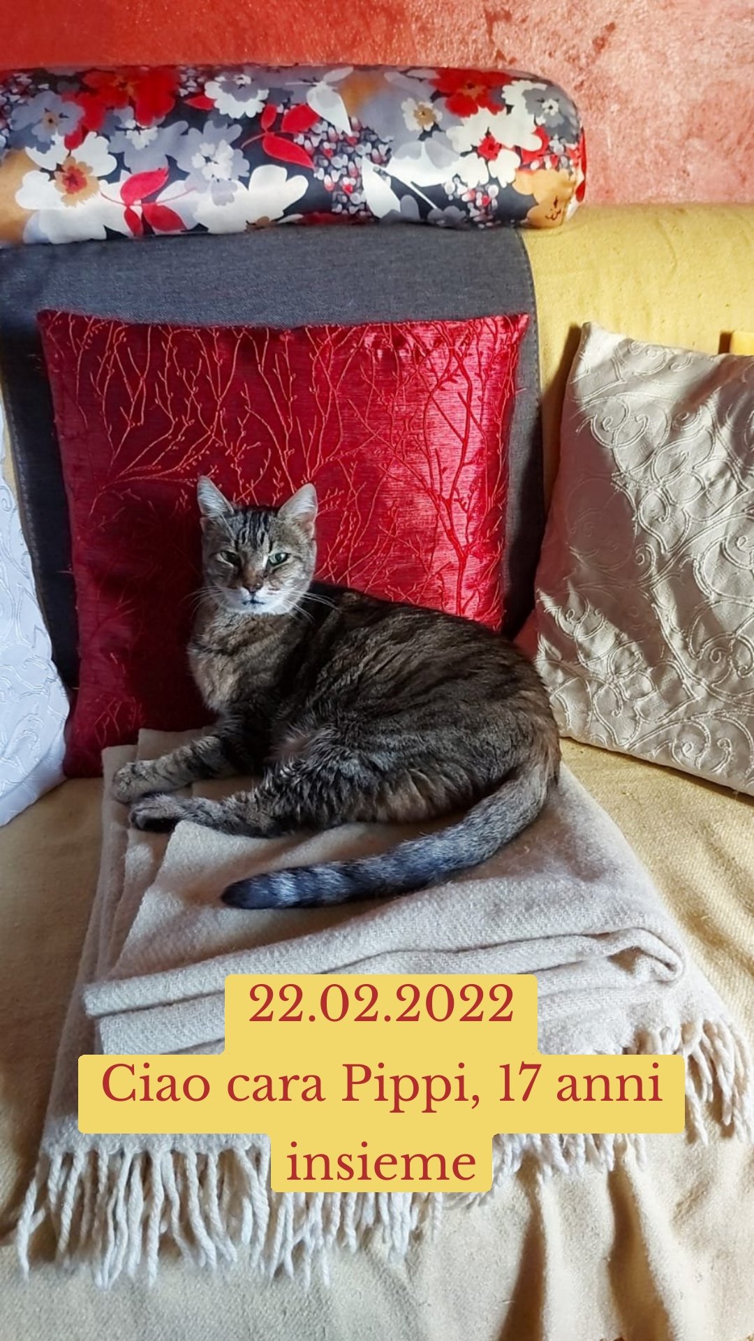 22.02.2022
Ciao cara Pippi, 17 anni insieme