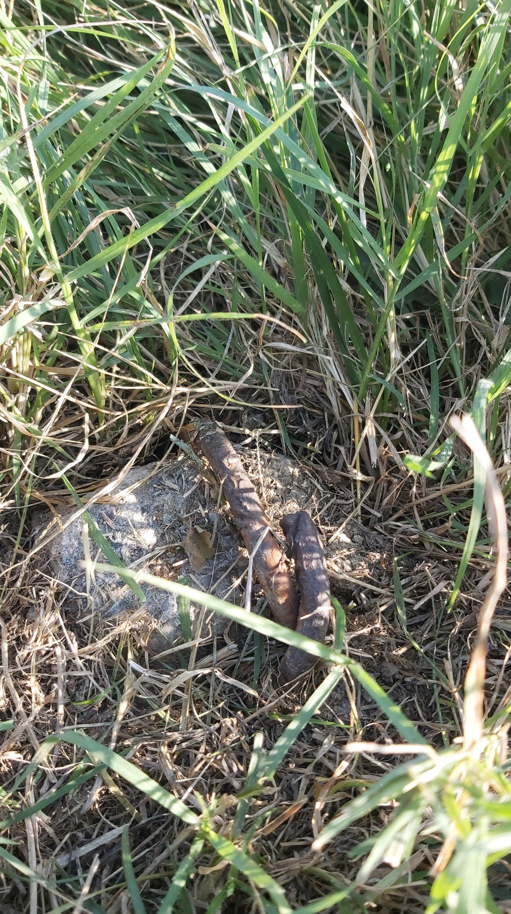 I Cippi di Confine – Salutiamo il filare di&nbsp;vite