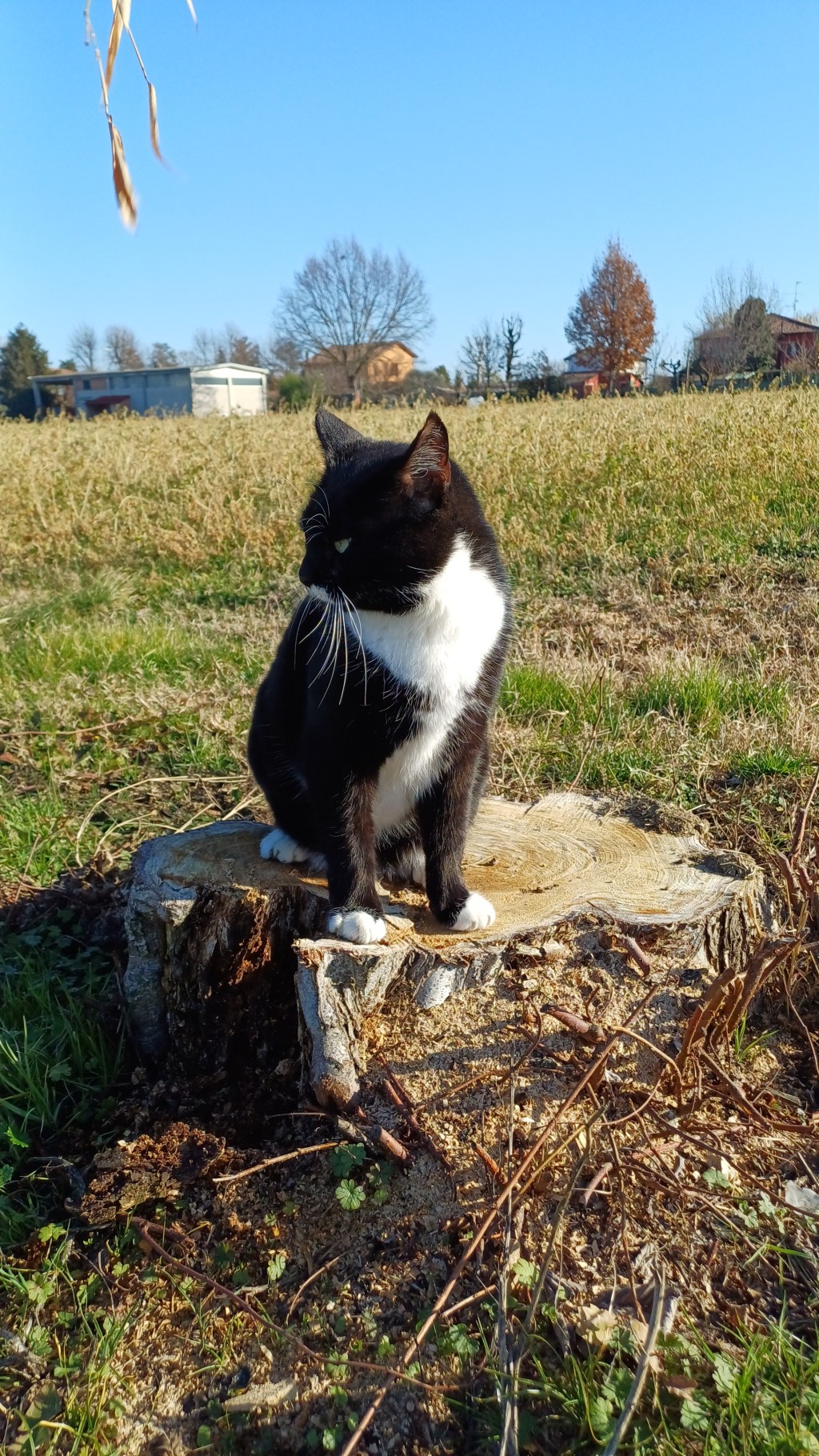 Dicembre 2023 – Vita in campagna –&nbsp;Orto