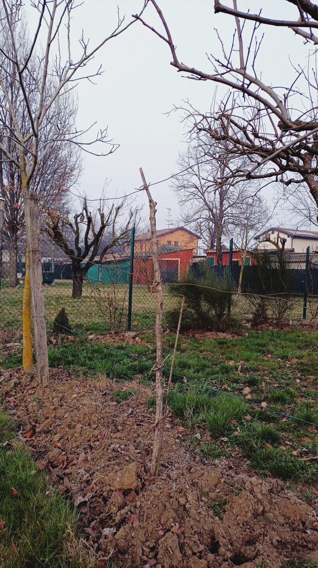 Un giro nel campo – 18 Febbraio 2024&nbsp;–