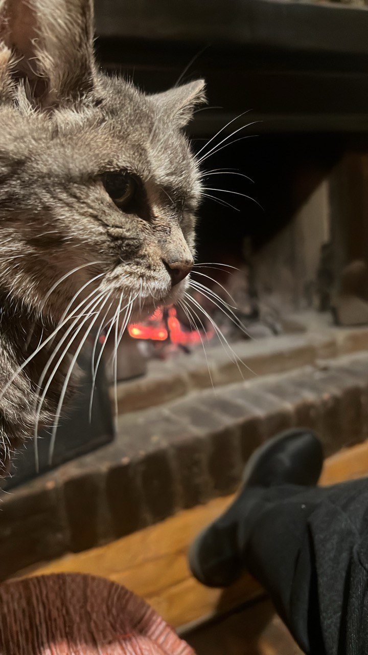 Ciao Mimì (Febbraio 2000 – 3 Febbraio&nbsp;2024)