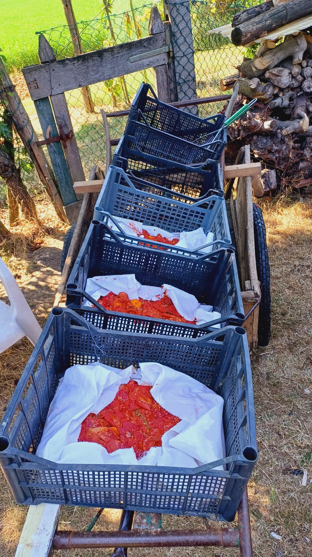 Giornata di passata di pomodoro – Luglio&nbsp;2024